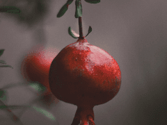 (지인제) 글 커미션 안내.