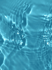 여름, 우리들의 꿈을 파도에 싣고