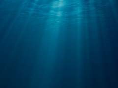 수면 아래에서 37