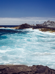 그녀가 살아가는 법