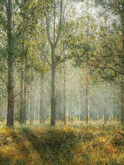 [진격거 드림/리바이 드림]몽환의 현실