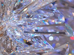 또보자, 플로트