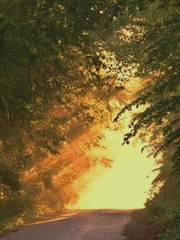 꽃이 진다고 그대를 잊은 적 없다.(完)