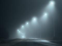 Case File : Parasite