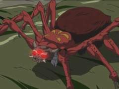 17. 꽃을 찾는 벌을 기다리는 거미줄