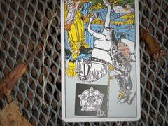 이번 주의 카드: Death reversed