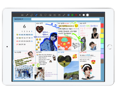 [굿노트] 만년형 덕질 다이어리 (유선)