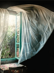 Zombie virous : the ruins