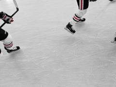 문파이 타입 (8)