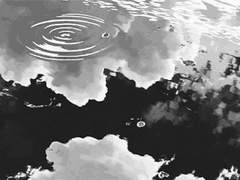 점멸, 기억, 망각