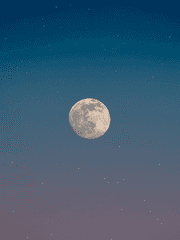 영일 전력 모음