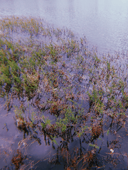 언제 이어질 지 모르는 시리즈