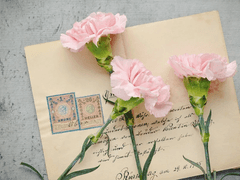 사랑하는 너에게,