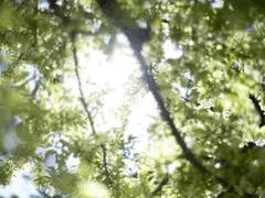 [희예] 여름보다 뜨거운