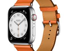 최애를 믿지 마세요 D