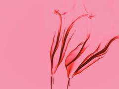 [고죠게토] 한낮의 방문자