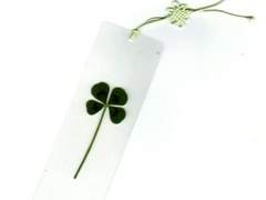 [마후카나] 행복을 바라는 의미로