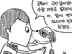 강아지 주인 찾습니다