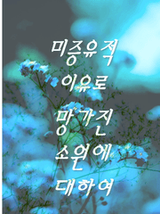 미증유적 이유로 망가진 소원에 대하여