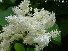 초능력 우주 여행!