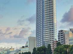 [세포신곡] After the Curtain Call ①