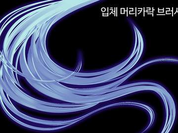 입체 머리카락 브러시 5종