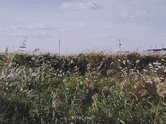 [주원동식] 메리베드엔딩