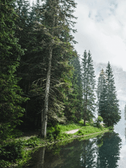 잠에서 깼는데 숲 속이였다.