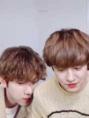 [찬백]늑대의 작은 애인