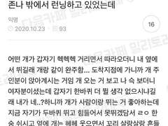 하이큐 드림썰 - 한바퀴 더 뛸게요