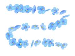 물망초 브러쉬&소스