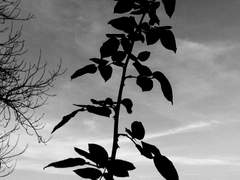 삶과 죽음에 관한 이야기