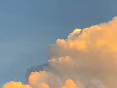 이걸 어쩌니. 난 제멋대로인 사람이라서.