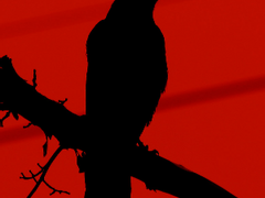 스폰서 오버 (전정국/김태형) 조각글