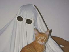 제 발로 찾아온 손님 +