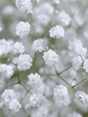 [엘류아] Raindrop -After-