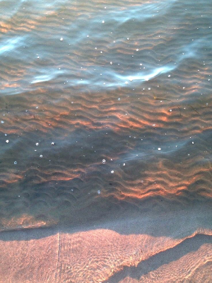 가장 정상의 사랑