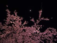 [종려소] 사계(四季) 2.5