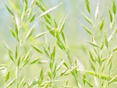 찬란하게 빛나는 너라서.