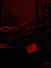 레드얼럿 - 카니스 장