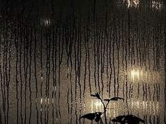 너의자리에서보다 prologue