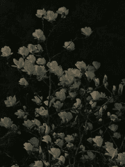 너의자리에서보다