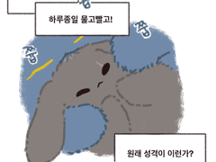 [금사] 금냥영토 삽질