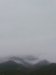 평범한 하루를 위하여