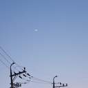 뜰팁 단편 모음