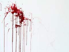 [NC][비각고타자윤] 카인의 후손들