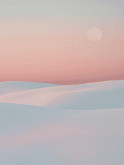 나는 단편이 좋더라