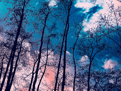 [공상세계] #1_추문