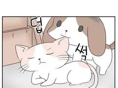 어느날 고양이가 되었다 9~10화