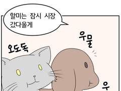 어느날 고양이가 되었다 11~12화